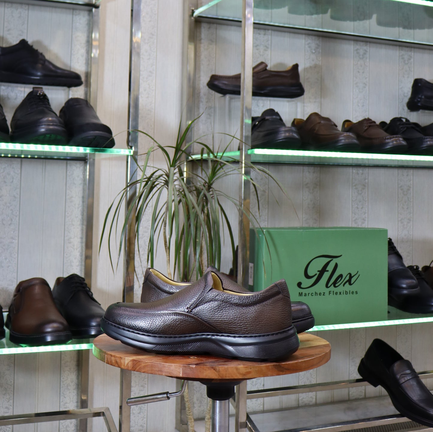 Chaussure Classique en cuir Marron - Fenie
