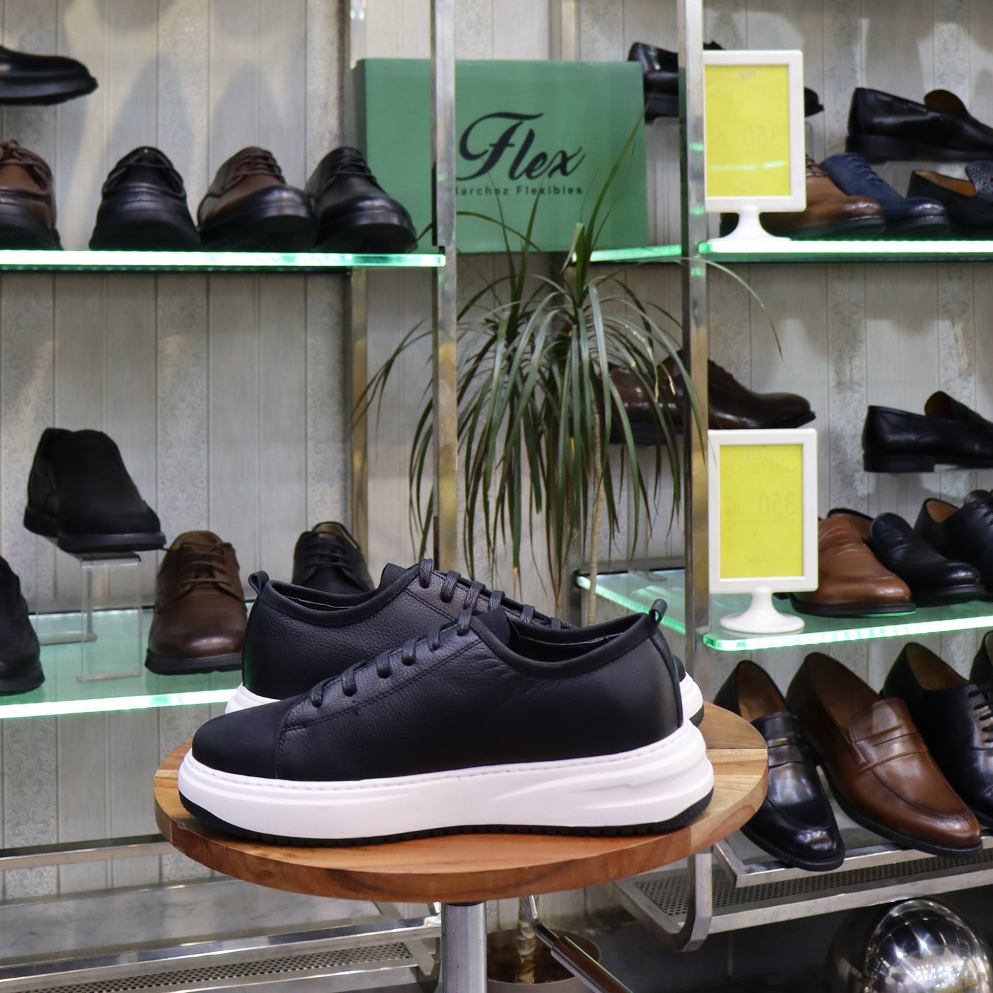 Basket En Cuir Noir - Cala