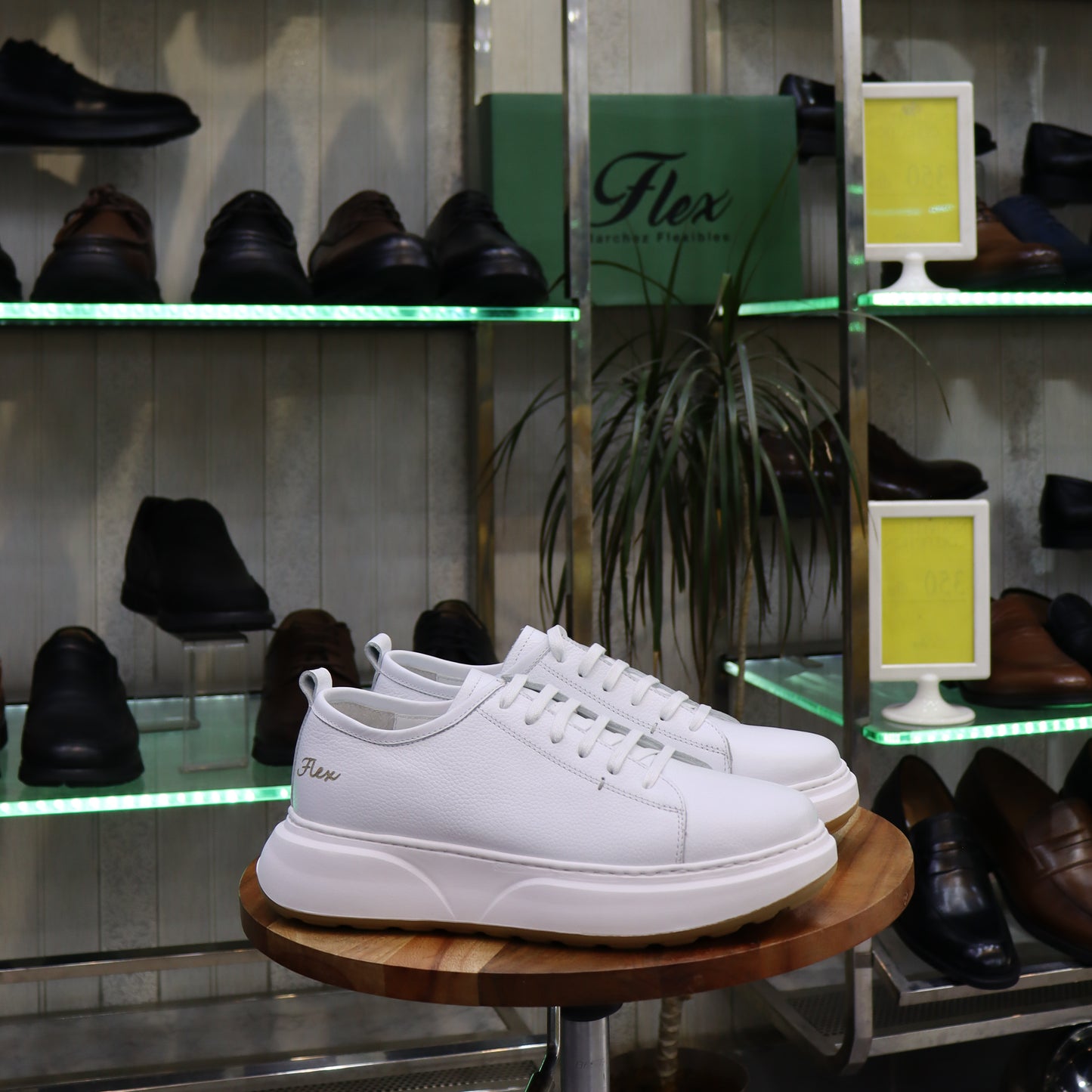 Basket En Cuir Blanc - Cala