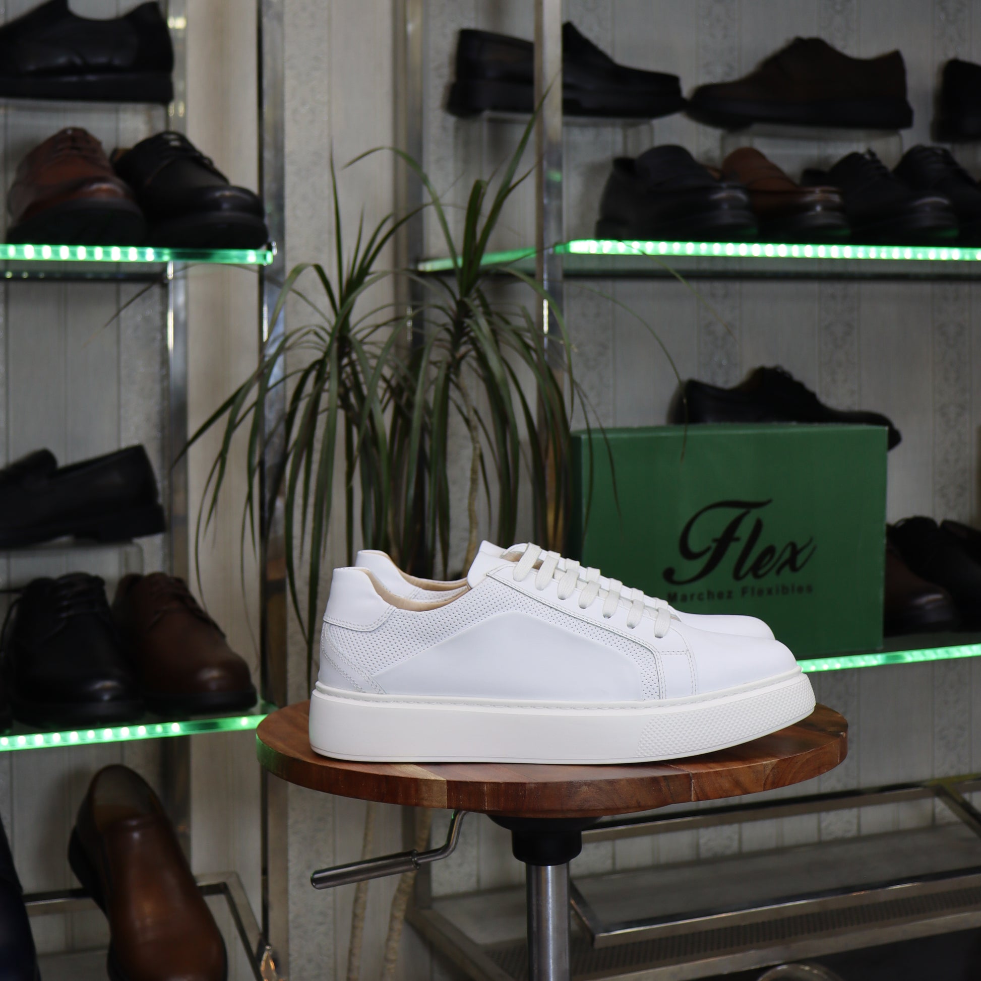 Basket en cuir blanc homme avec panneau perforé et semelle épaisse - Flexshoes