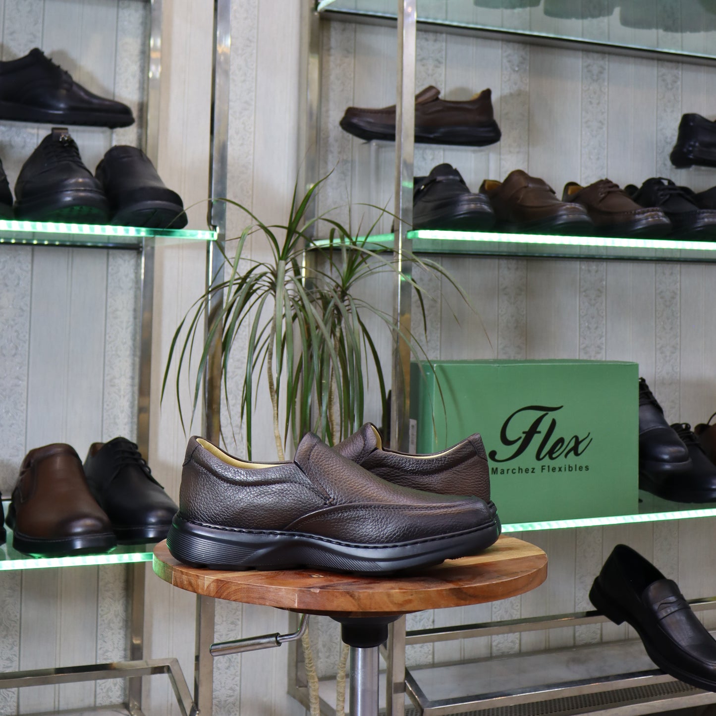 Chaussure Classique en cuir Marron - Fenie