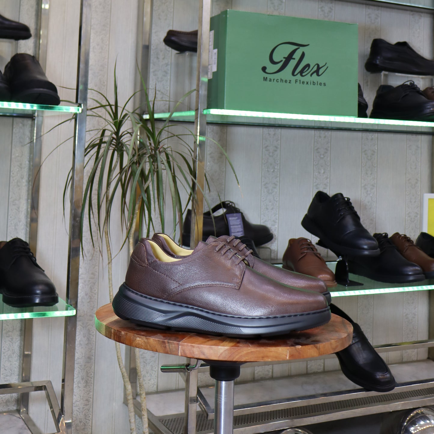 Chaussure Classique en Cuir Marron - L’Kaid
