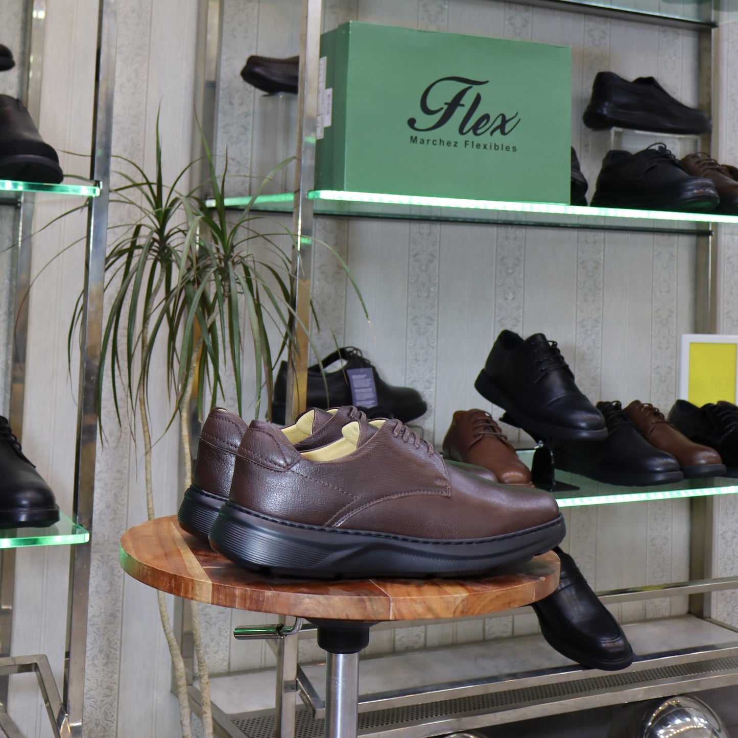 Chaussure Classique en Cuir Marron - L’Kaid