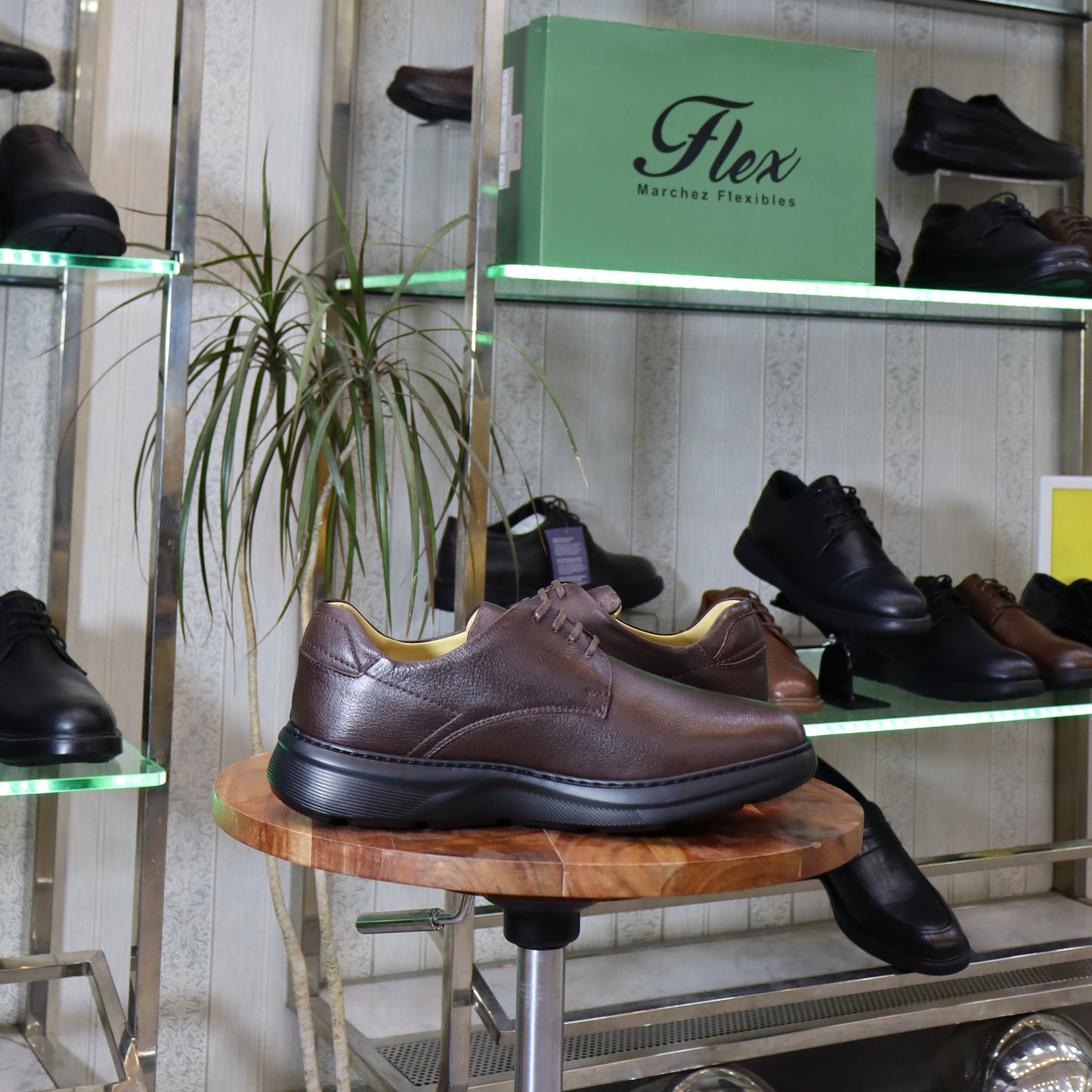 Chaussure Classique en Cuir Marron - L’Kaid