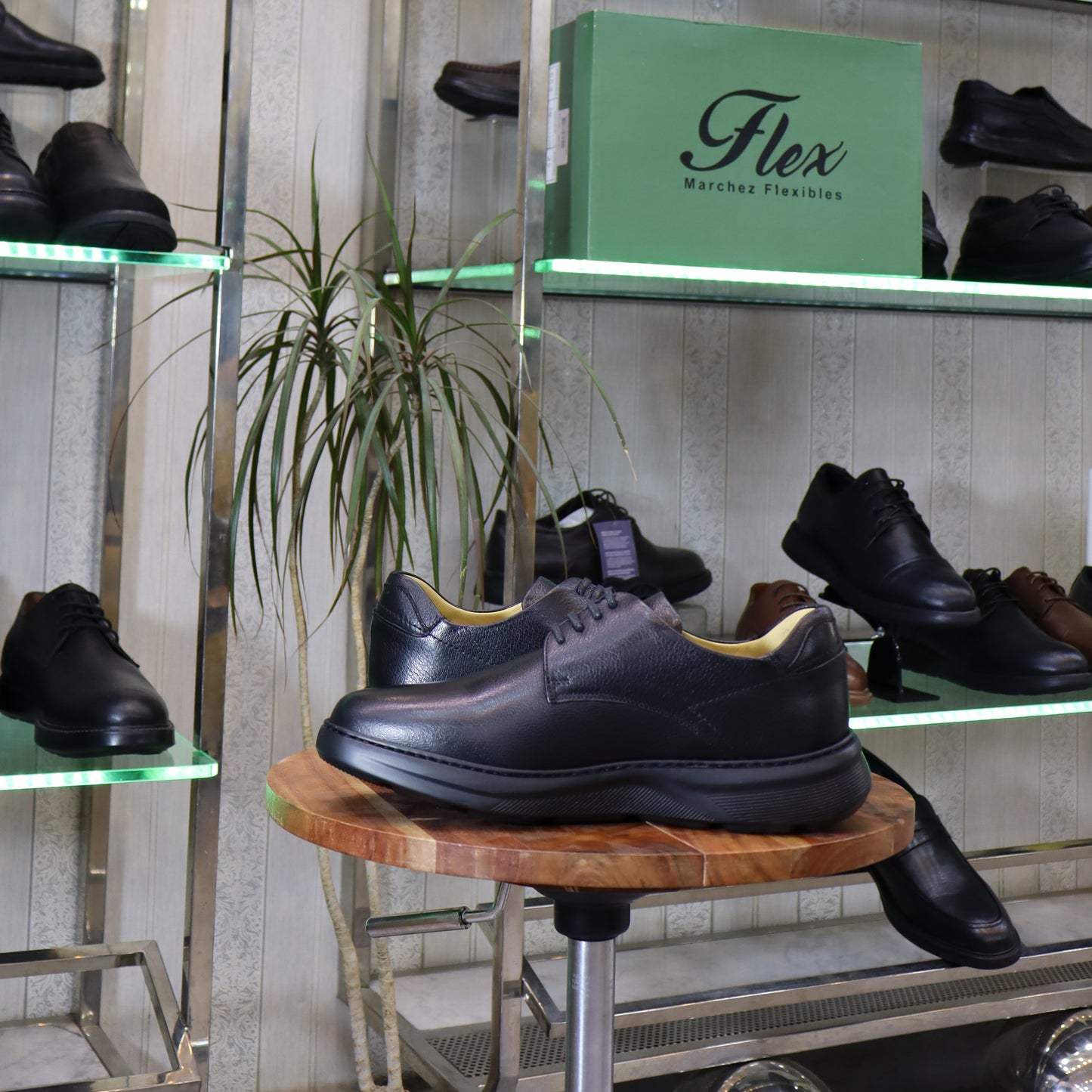 Chaussure Classique en Cuir Noir - L’Kaid