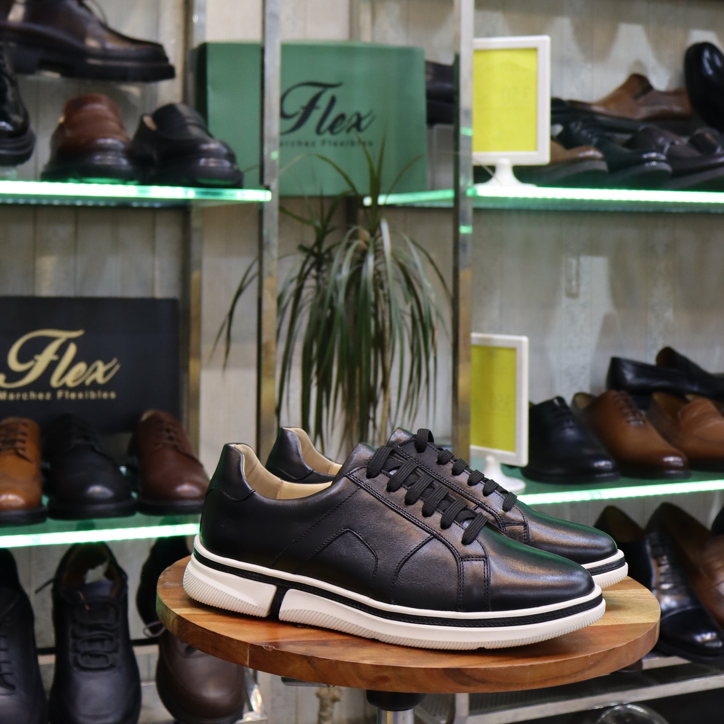 Basket En Cuir Blanc - Nerio