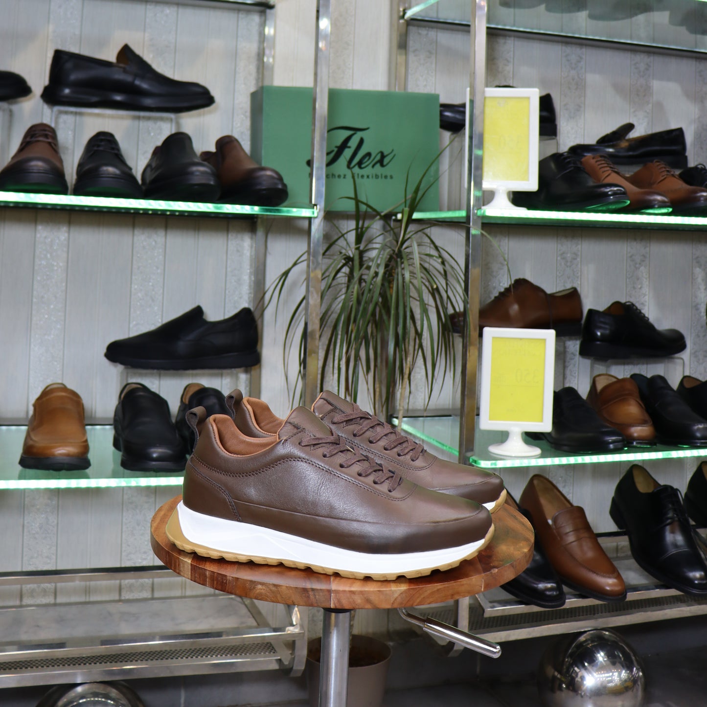 Basket  En Cuir Marron - Zegga