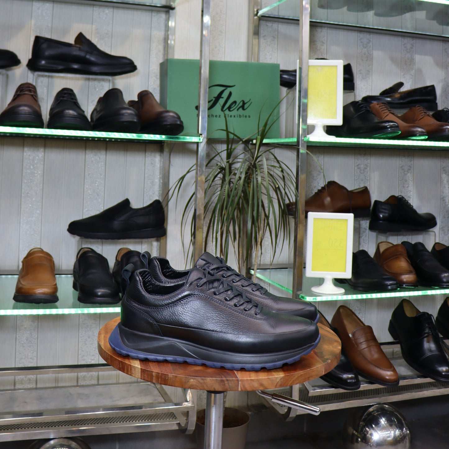 Basket  En Cuir Noir - Zegga