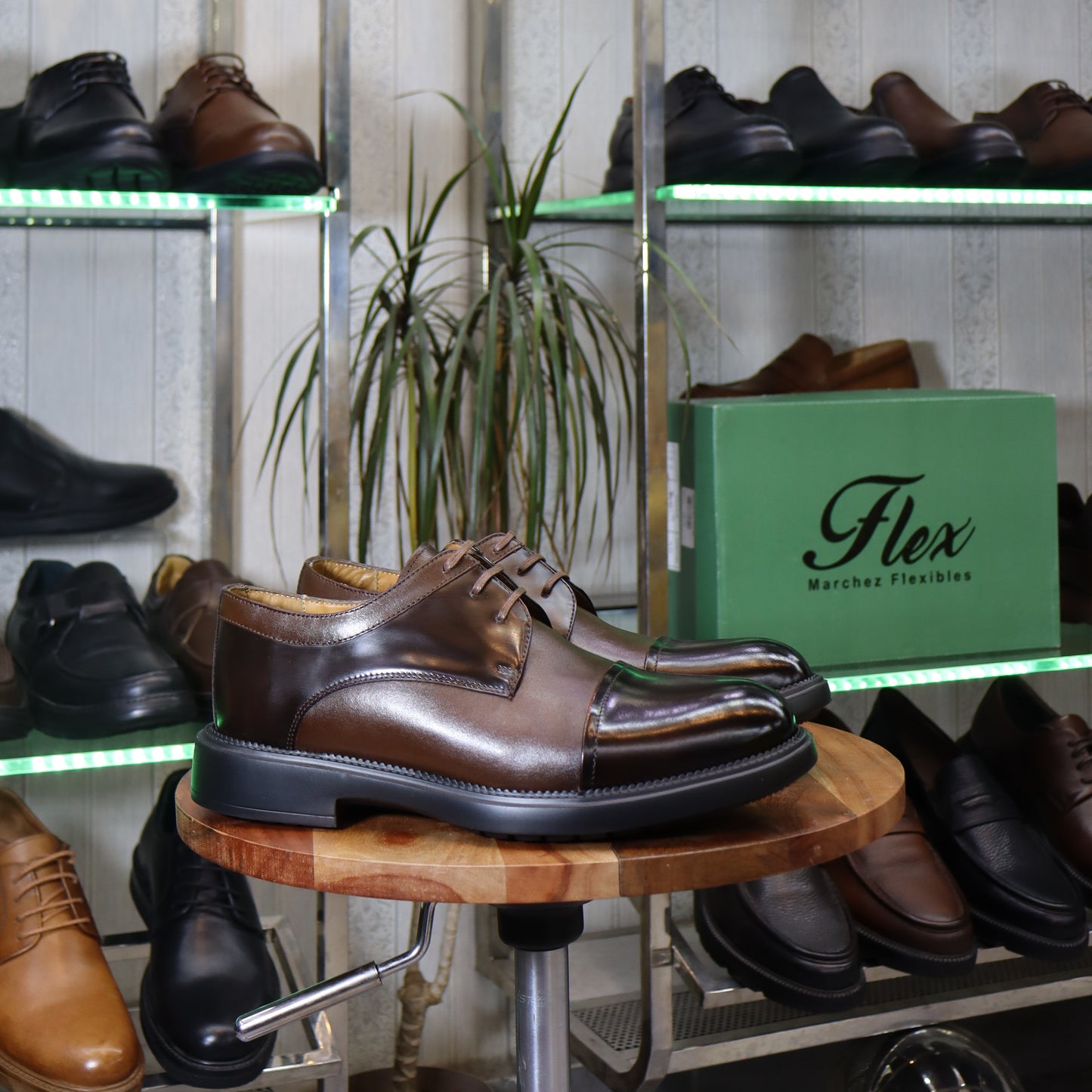 Chaussures Homme En Cuir Marron - Casablanca