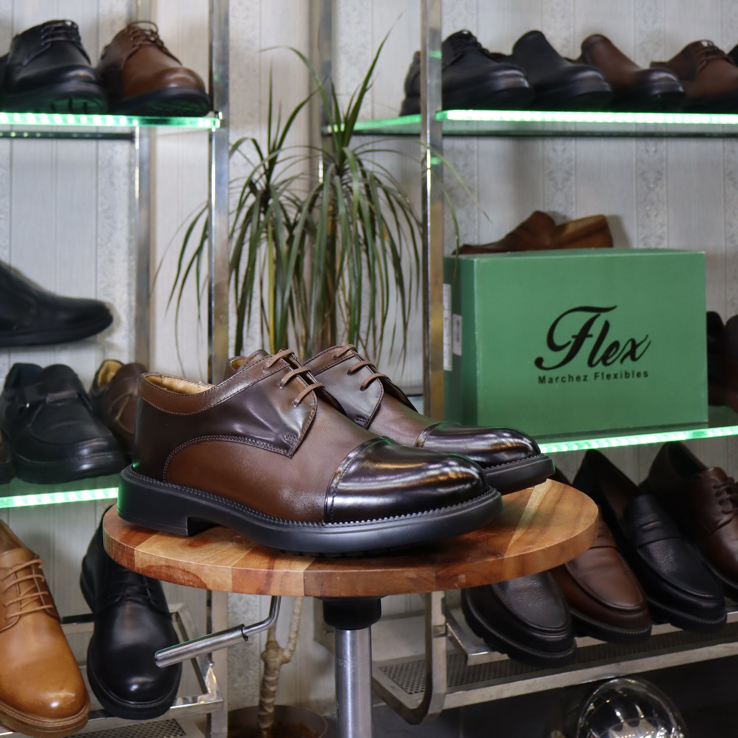 Chaussures Homme En Cuir Marron - Casablanca