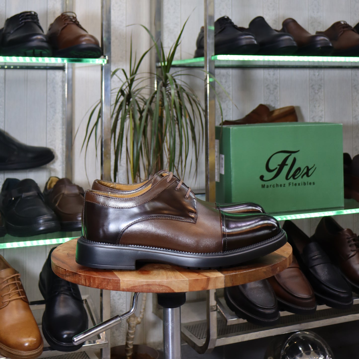 Chaussures Homme En Cuir Marron - Casablanca