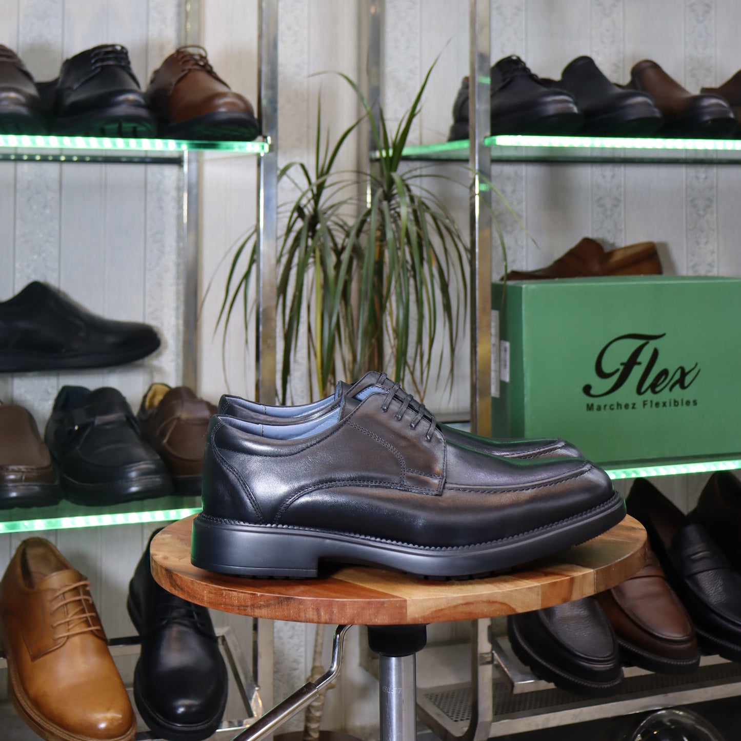 Chaussures Homme En Cuir Noir - Tanger