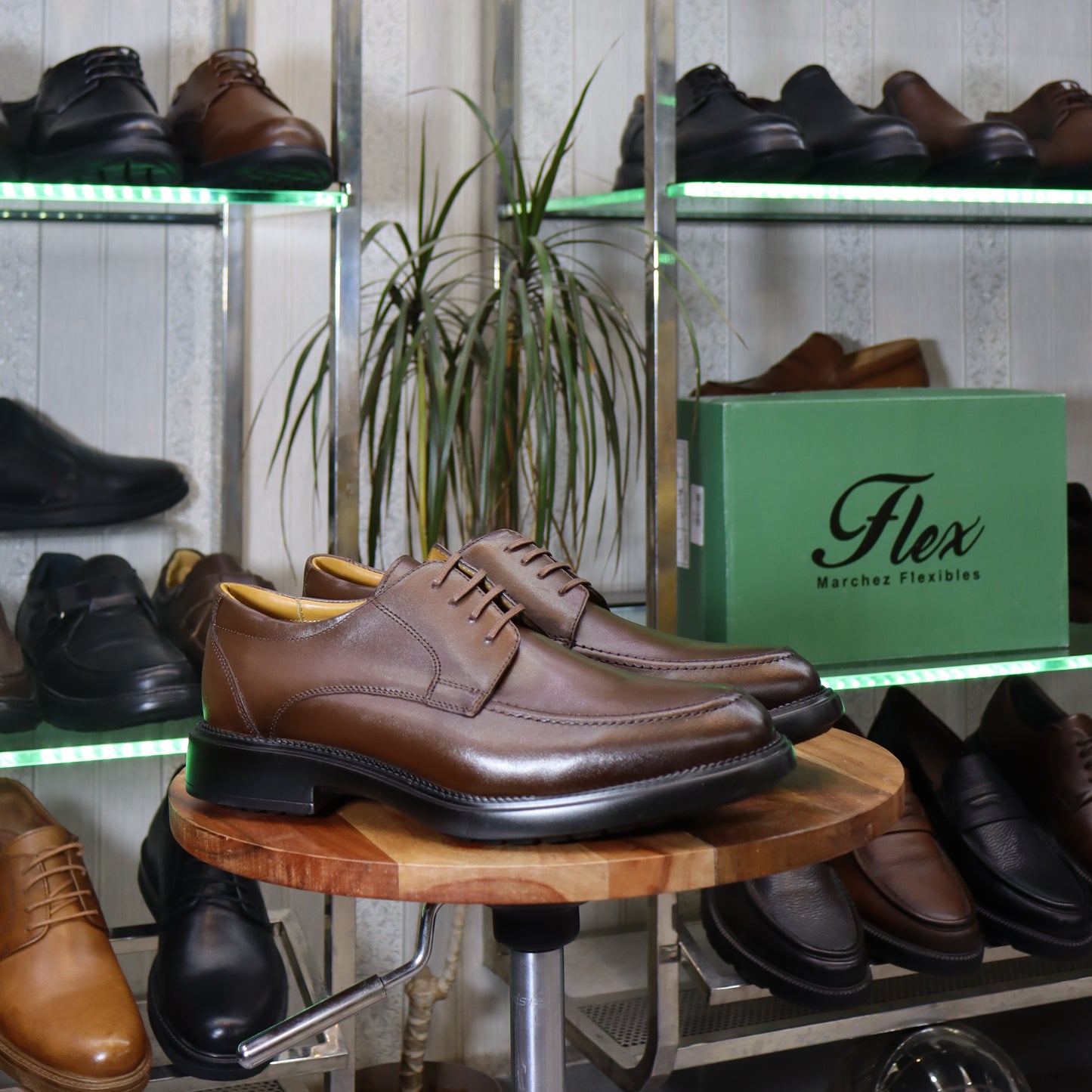 Chaussures Homme En Cuir Marron - Tanger