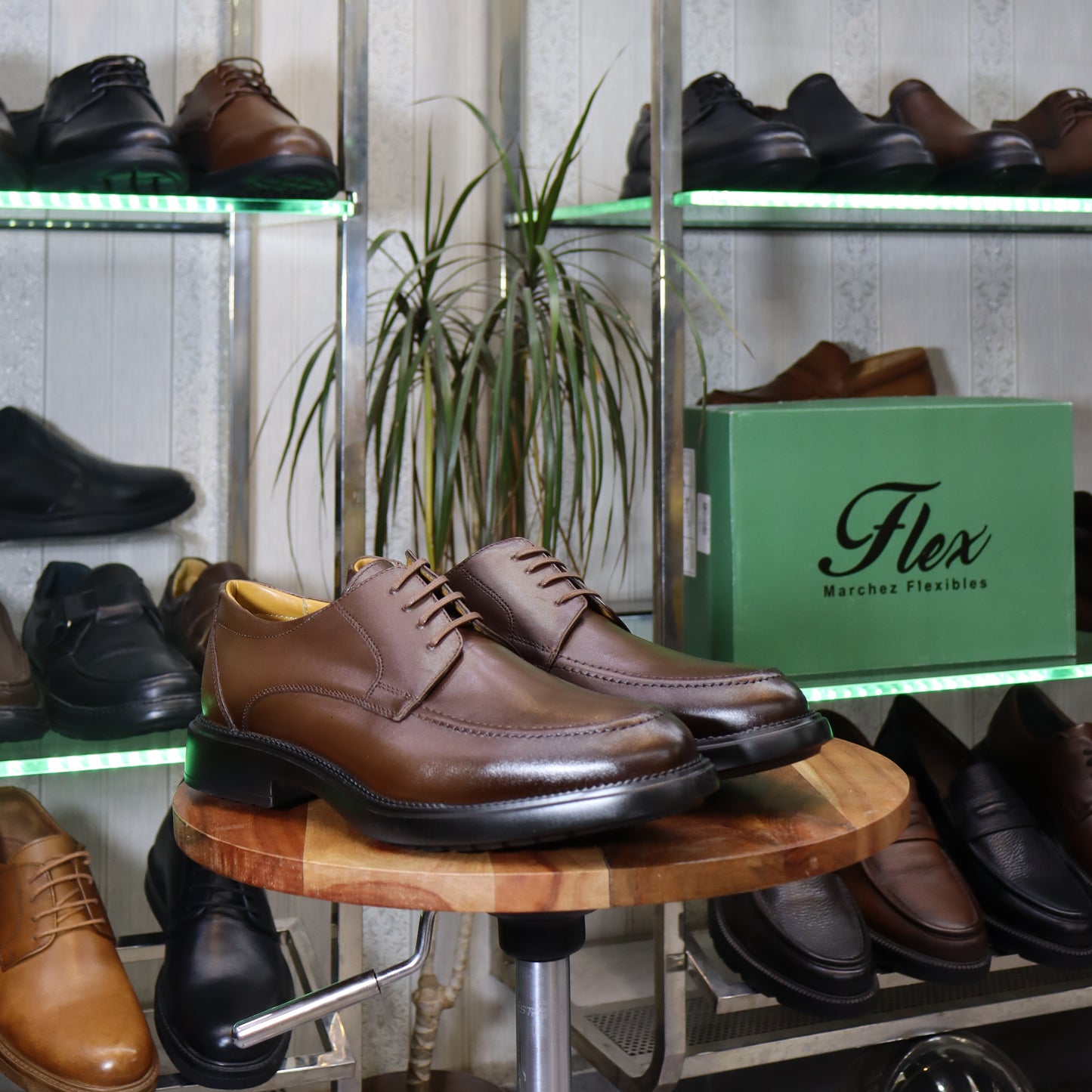 Chaussures Homme En Cuir Marron - Tanger